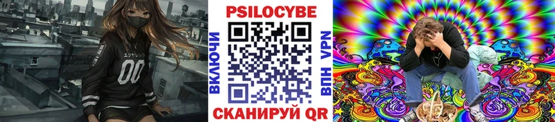 купить закладку  Мытищи  Галлюциногенные грибы MAGIC MUSHROOMS 