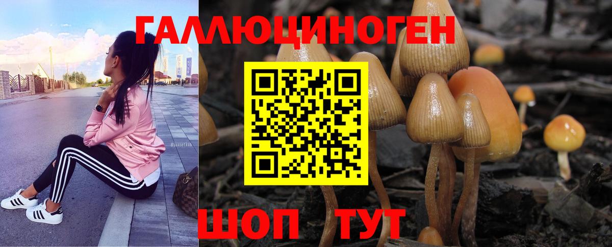 Мытищи  Псилоцибиновые грибы Magic Shrooms  Вход с VPN 
